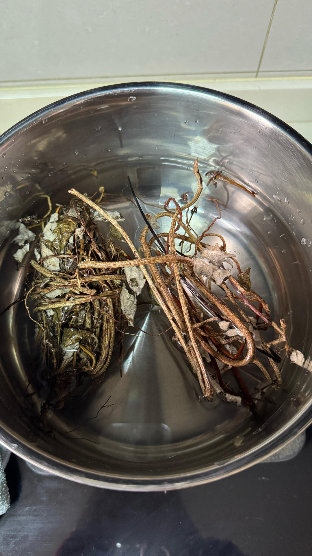 鸡屎藤排骨汤的做法 步骤1