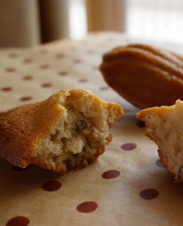 枫糖核桃玛德琳蛋糕