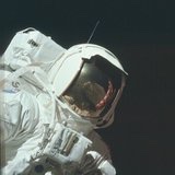 阿毛啊你怎么又秃了