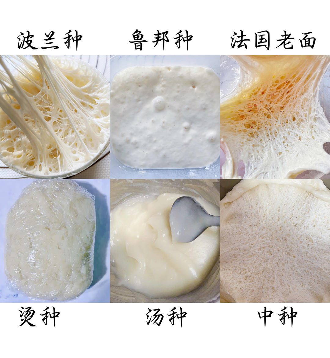 波兰种、中种、老面、鲁邦种、烫种