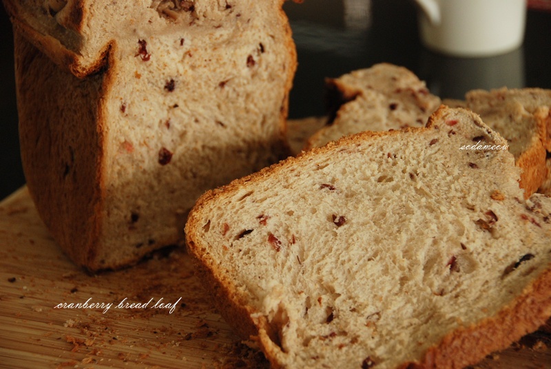 蔓越莓吐司—柏翠PE8500