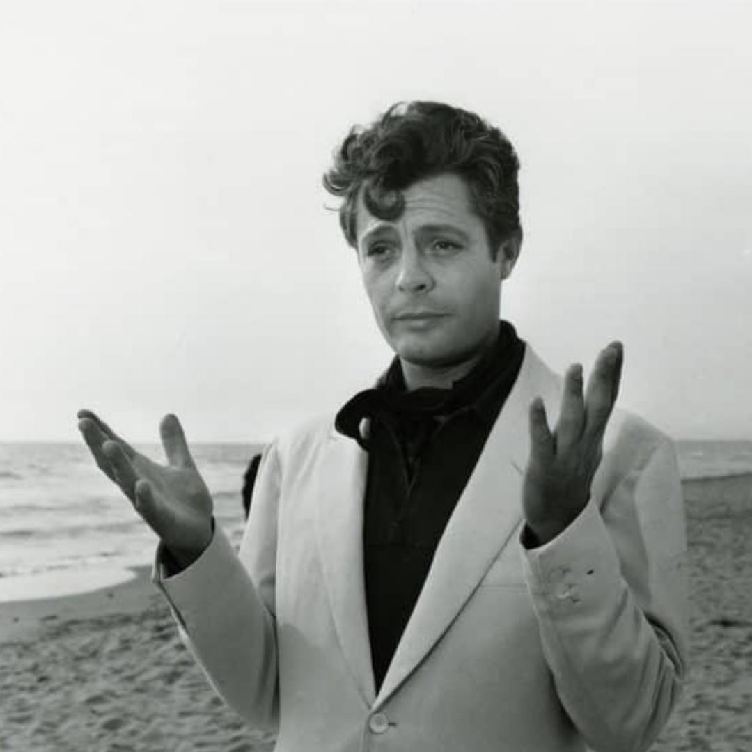 Elliot_Z