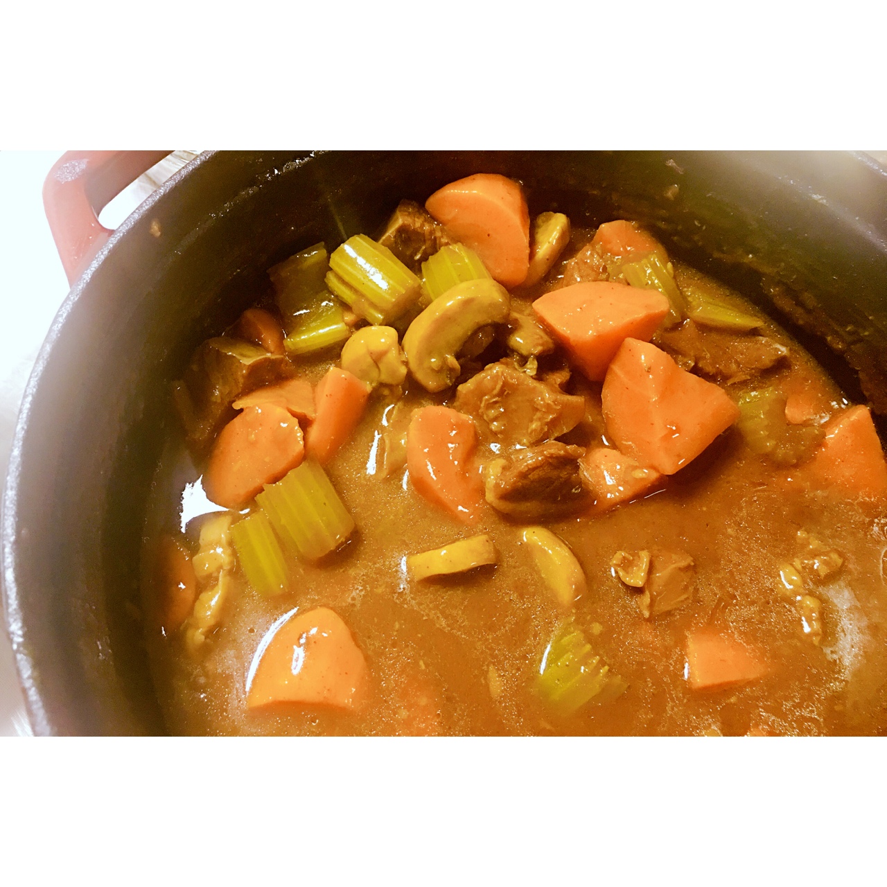 蔬菜焗牛肉 Beef and Veg Stew
