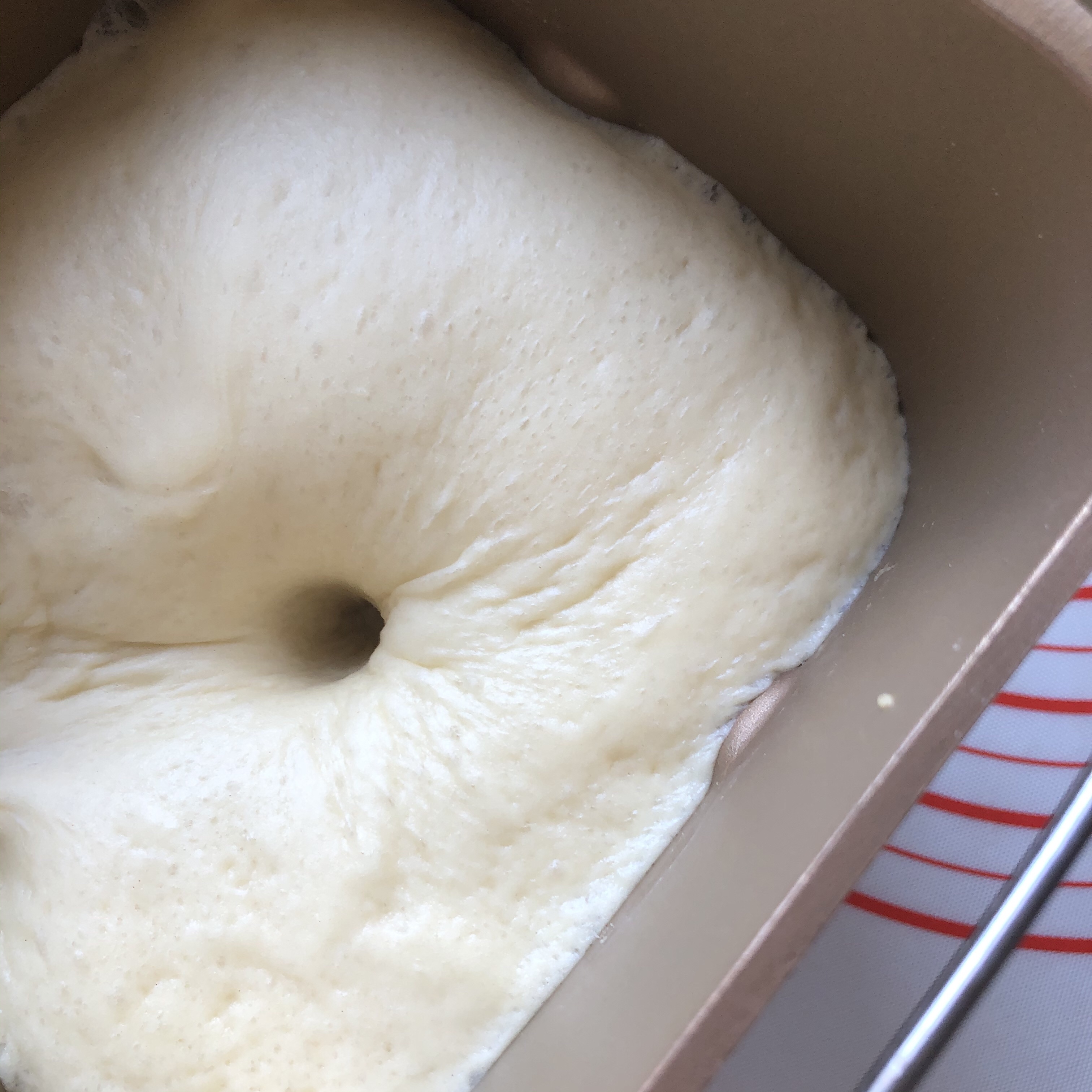柏翠面包机10分钟手套膜（全程不用粘手）的做法 步骤18