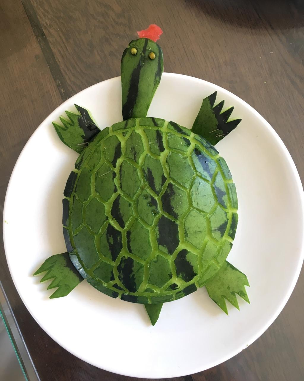 七秒记忆y做的西瓜皮小乌龟