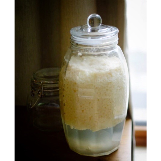 祖传秘制甜米酒（酒酿）