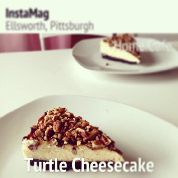 Turtle Cheese Cake