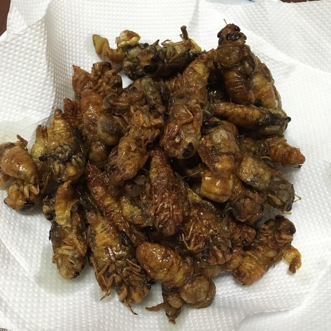 momo桃er做的2018年03月01日