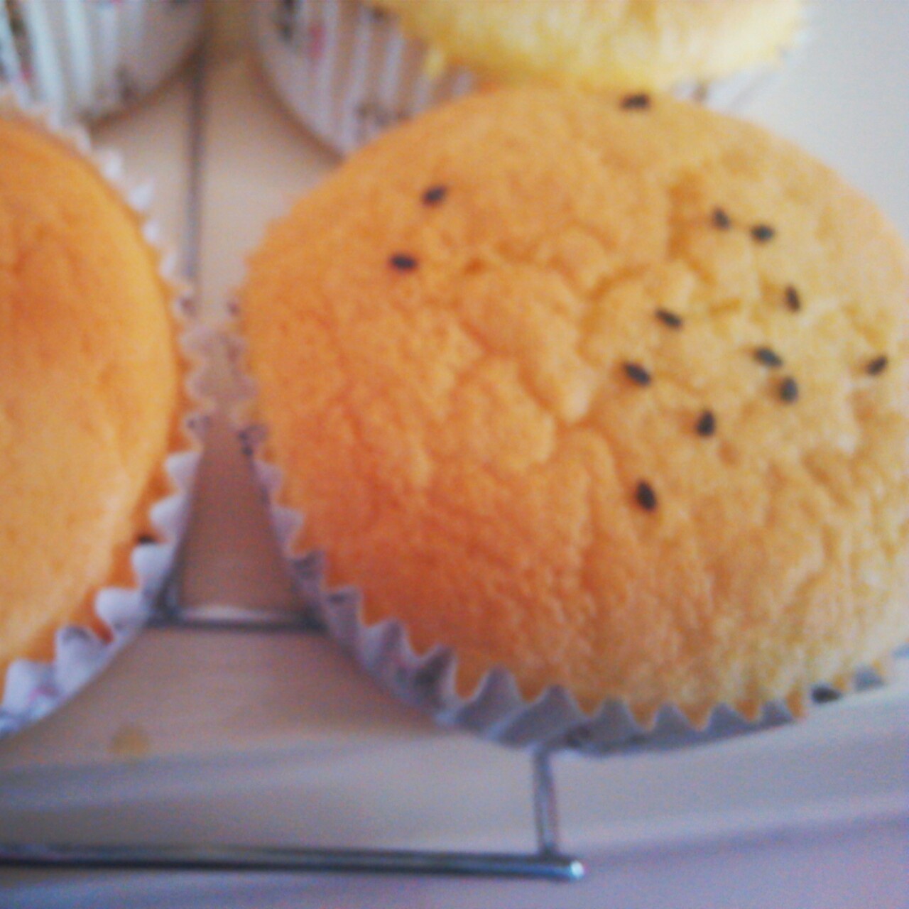 不会回缩的纸杯蛋糕--海氏烤箱定制