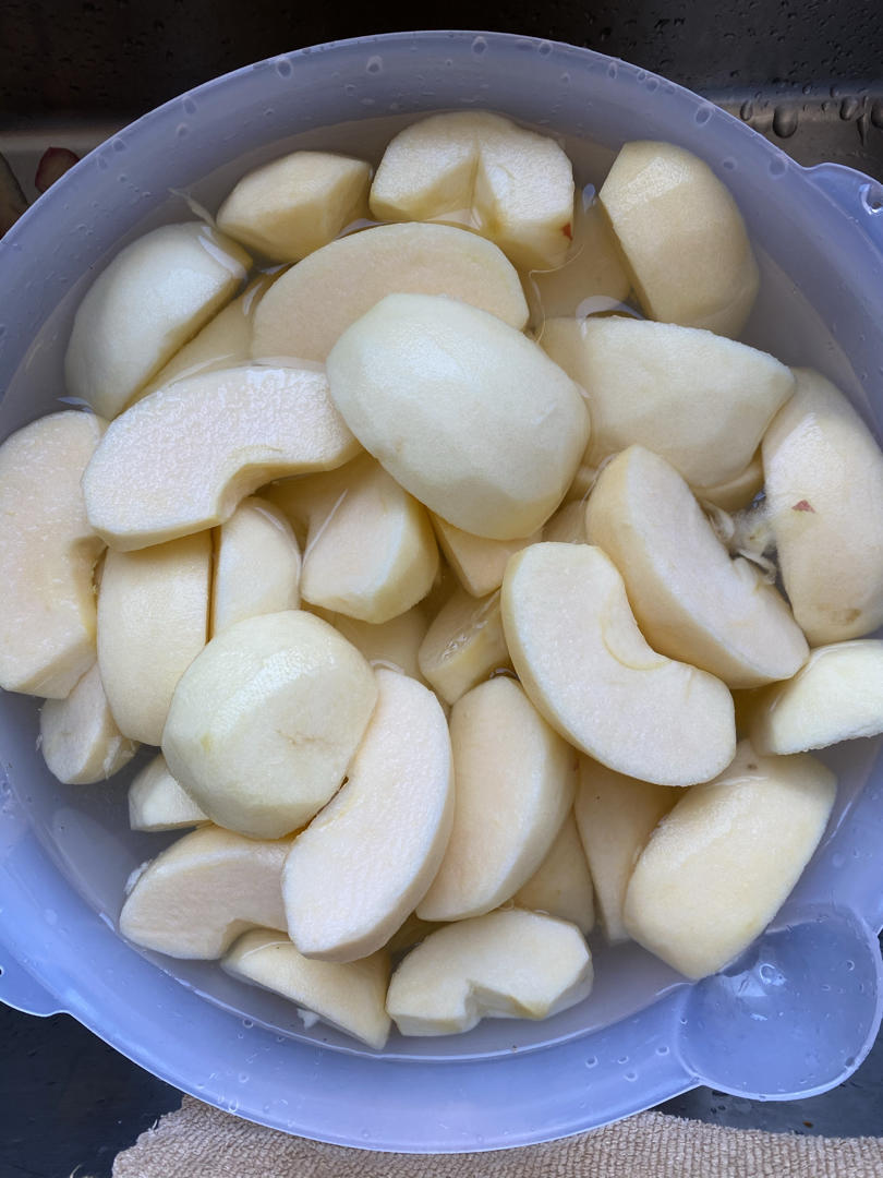 苹果脯，苹果干，酸甜软糯0添加