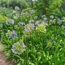 手机用户4546_dl4z