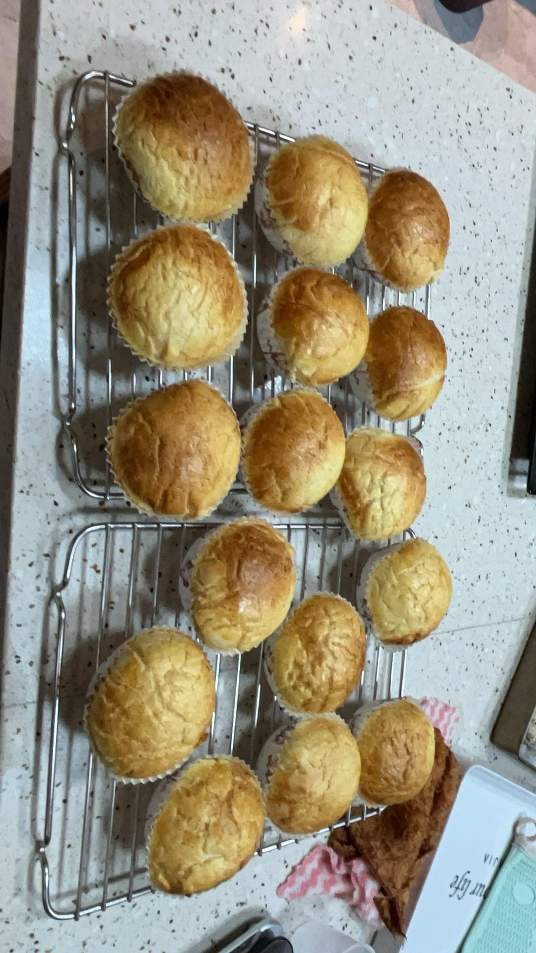 菠萝包