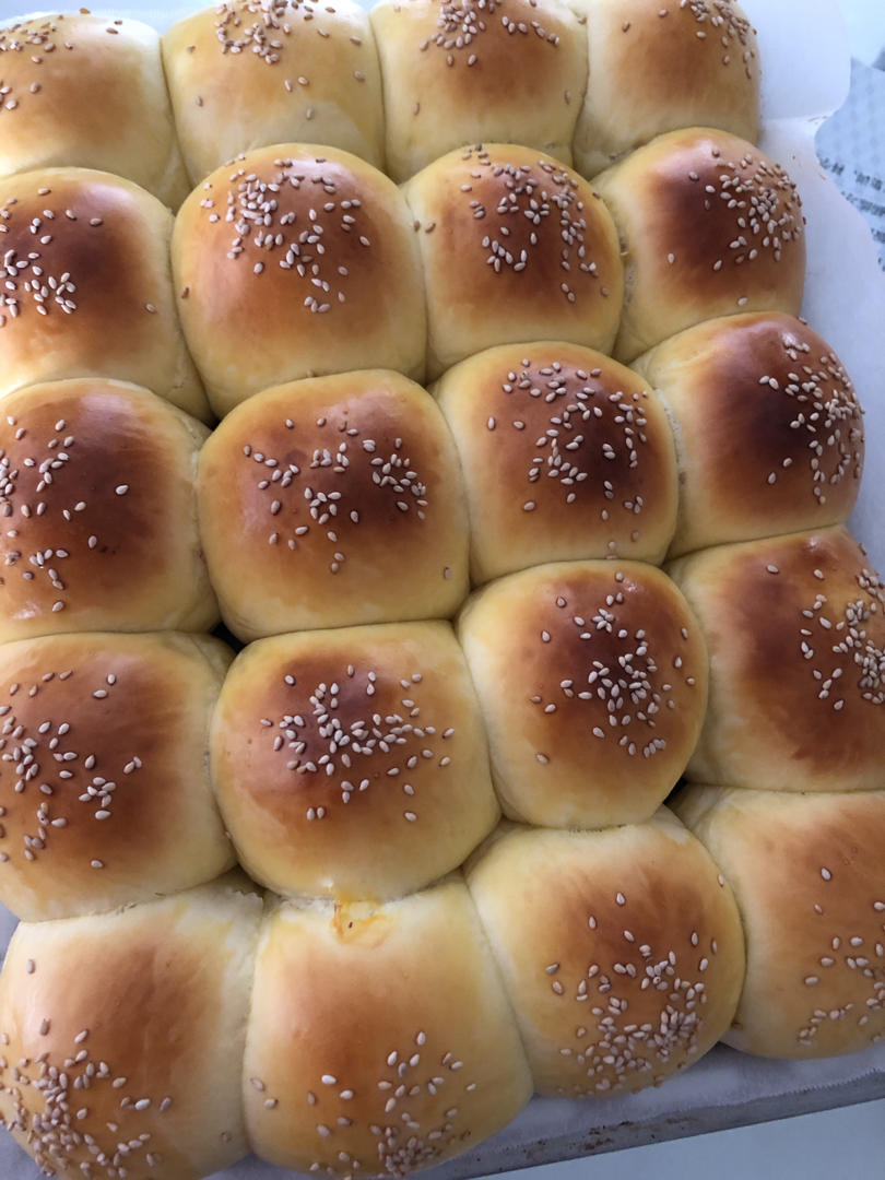 一次发酵餐包‼️都这么好吃‼️懒人餐包🤗