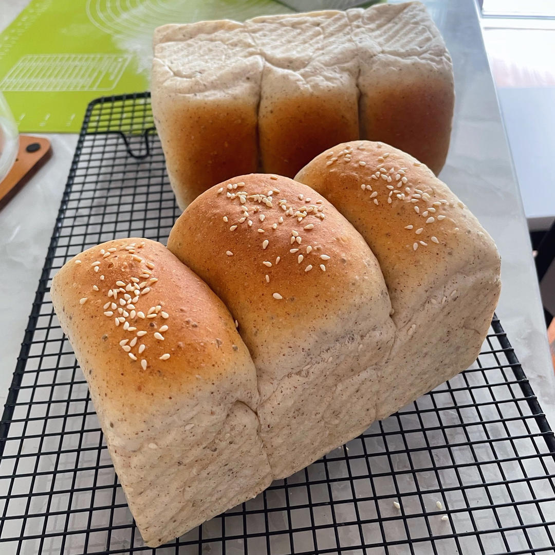 天然酵母全麦（50%全麦）葡萄干吐司