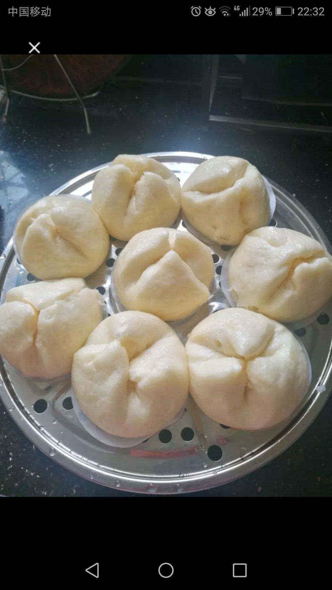 广东叉烧包