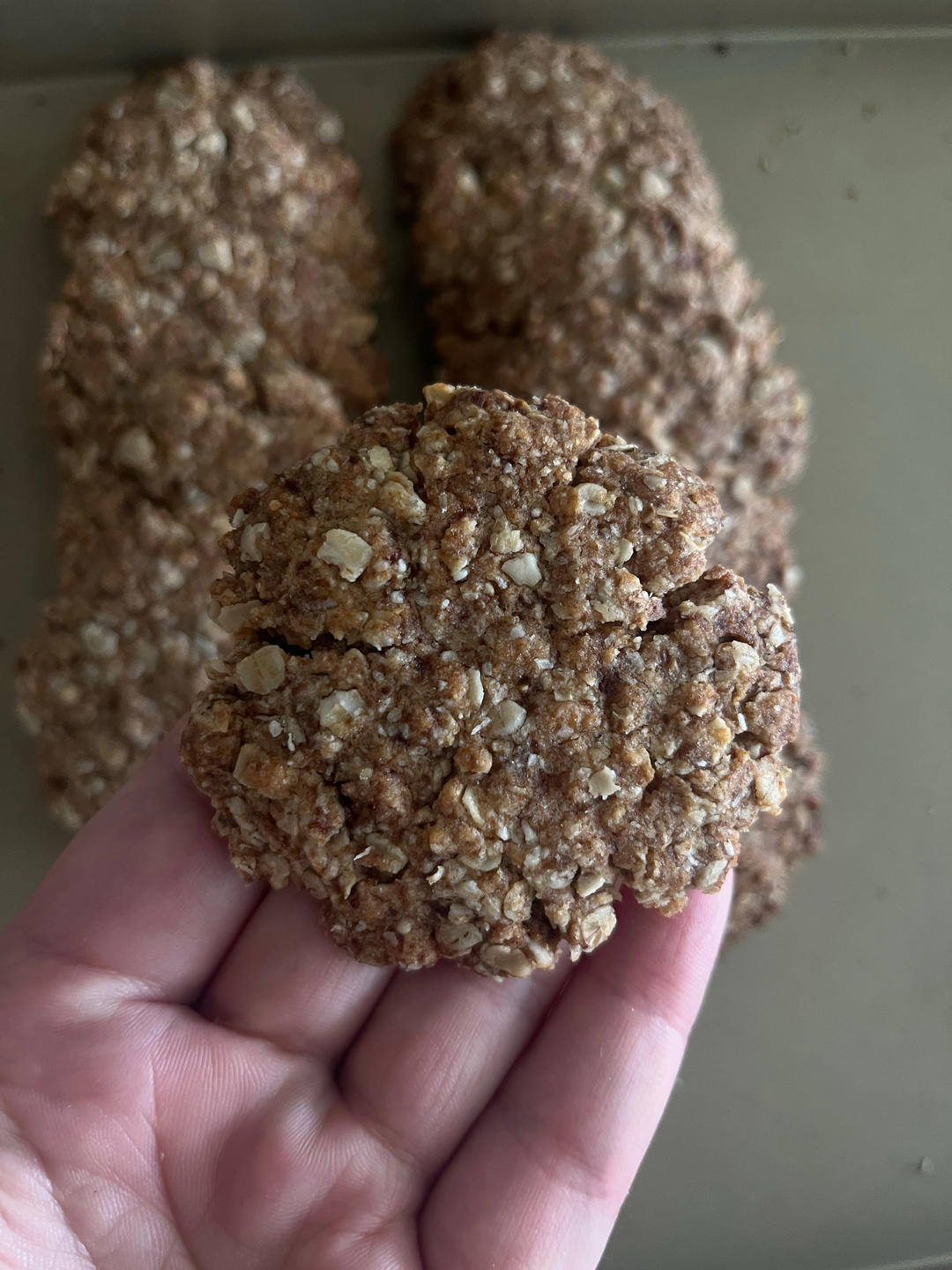 燕麦饼干