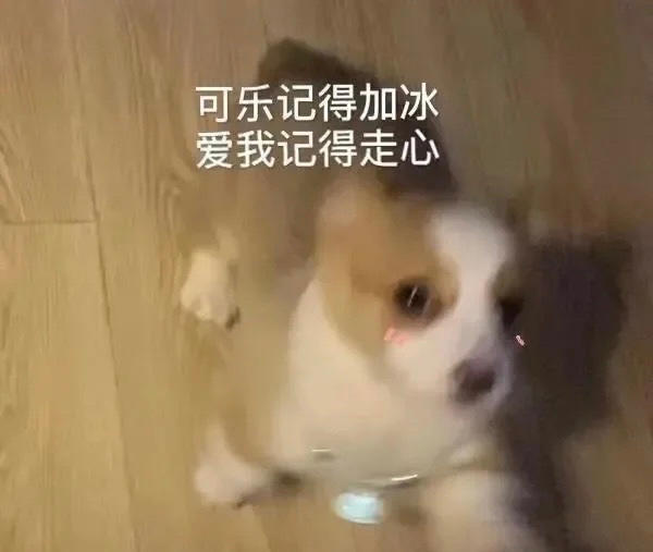 安逸哦哦