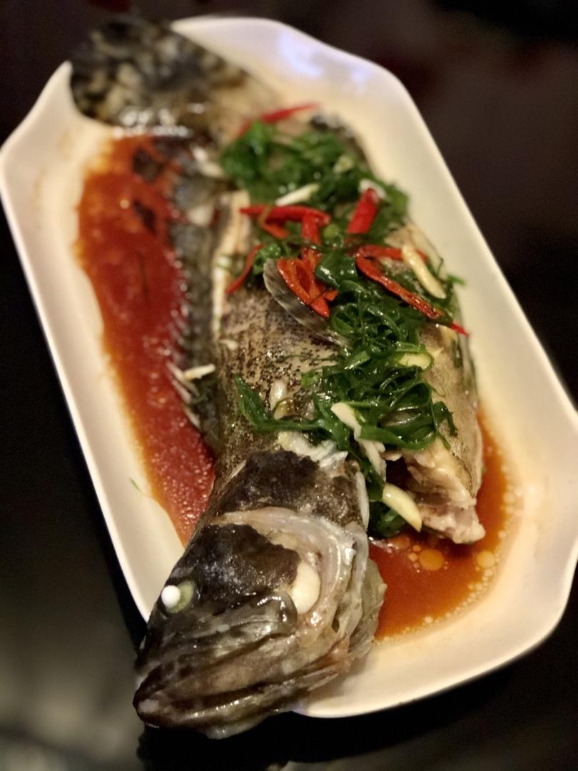 佩尼ge做的清蒸龙趸斑