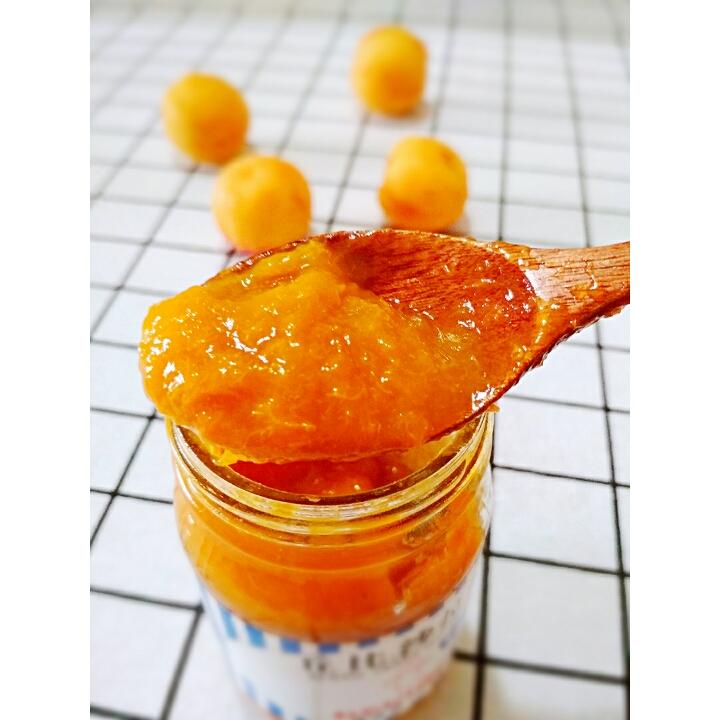 杏子果酱(GOURMETmaxx西式厨师机版)