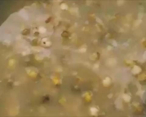 薏米绿豆汤的做法