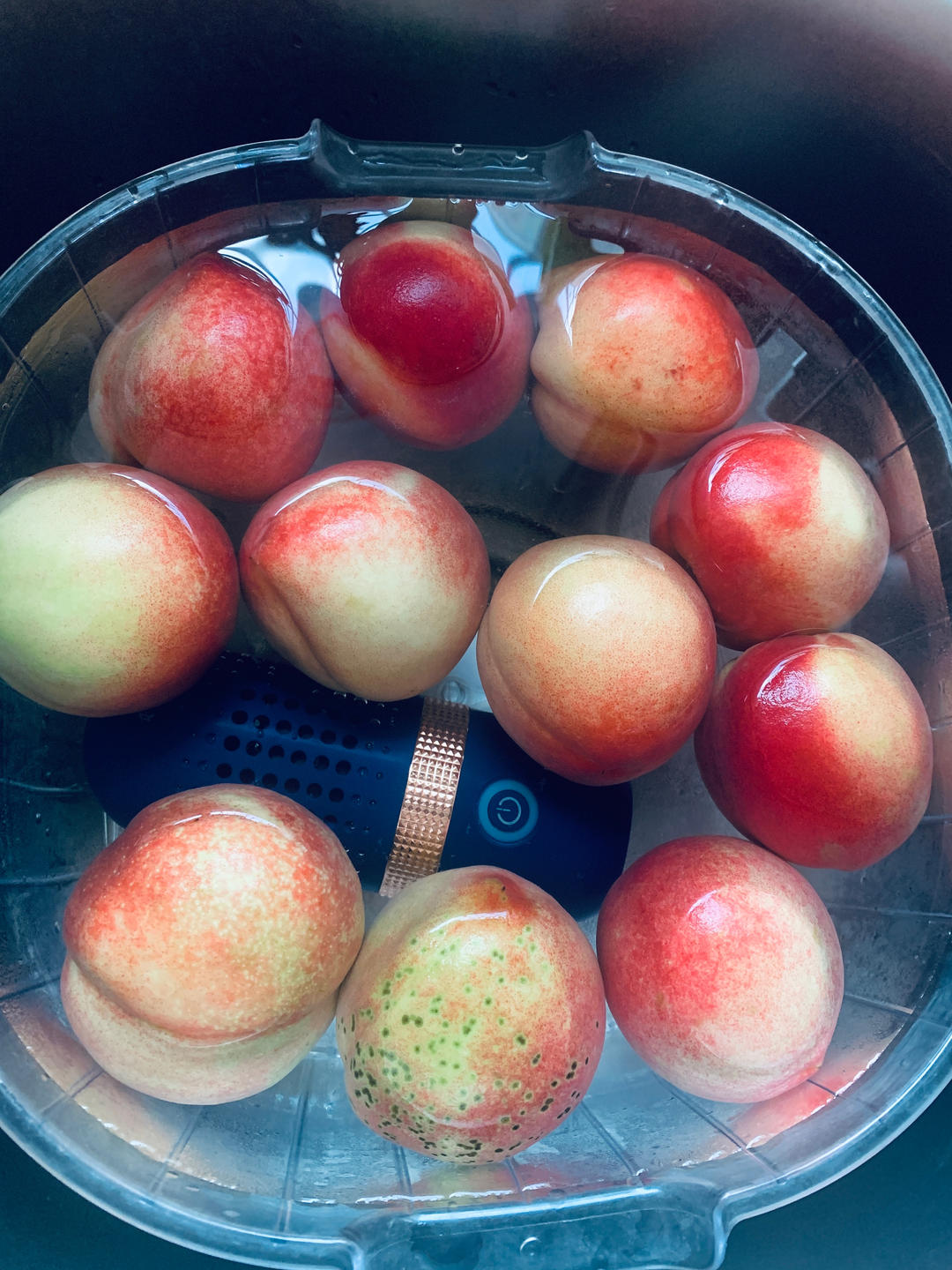 紫苏桃子姜，一秒回到老长沙的夏天