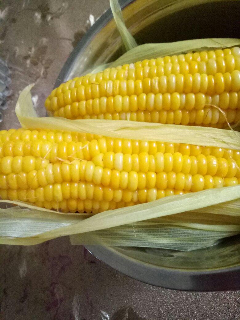 放弃酵素，爱上果醋