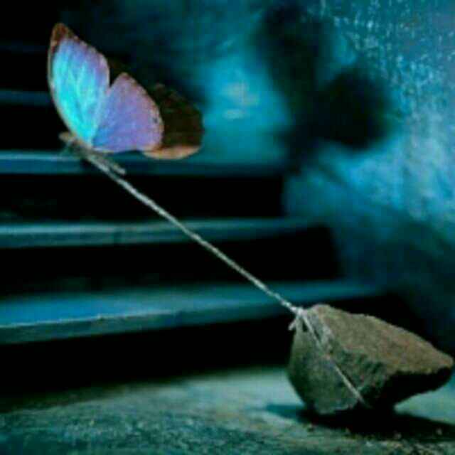 手机用户7314_iyrv