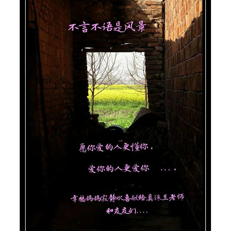 不言不语都是好风景