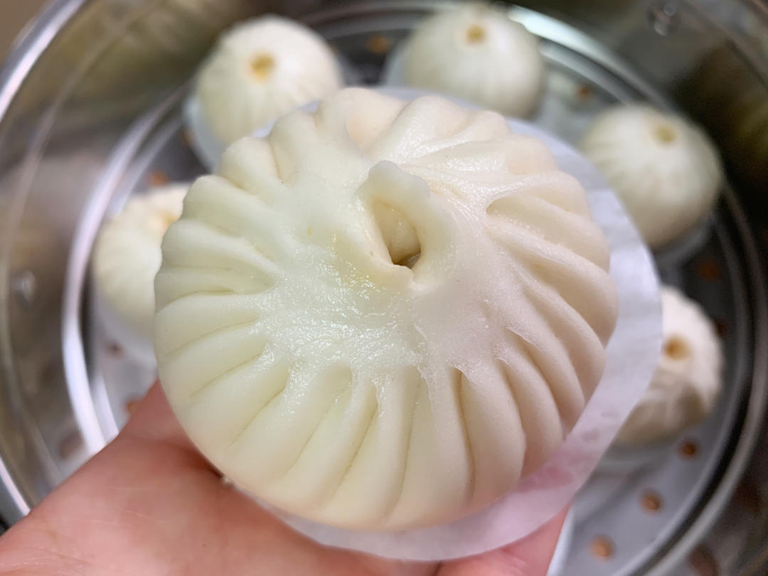 手工包子(提褶包)