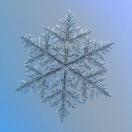 啊雪景怡人