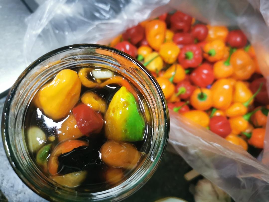 广式豉油辣椒圈-早餐店必备