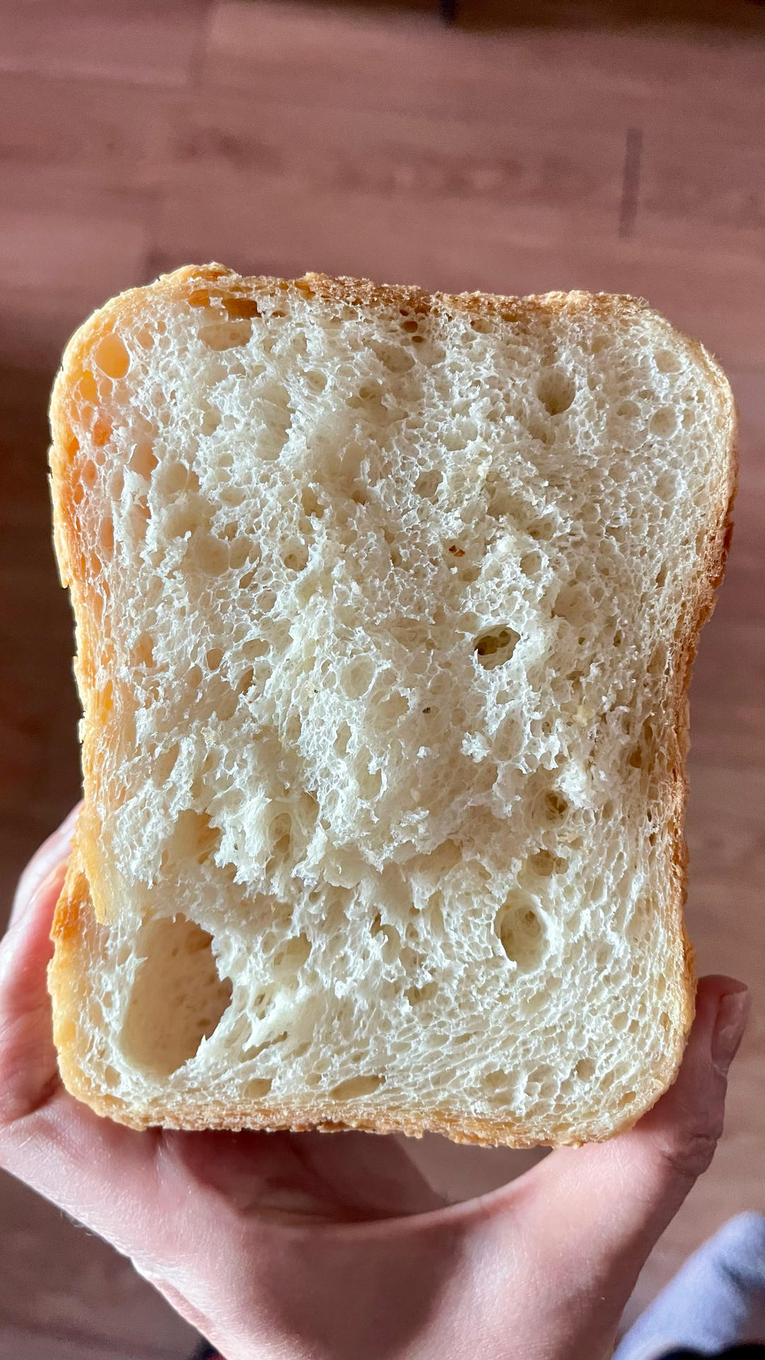 日式炸猪排（非油炸 揚げないとんかつ）