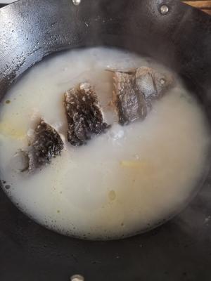 奶白色的河鲫鱼汤的做法 步骤5