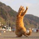 晰晰晰