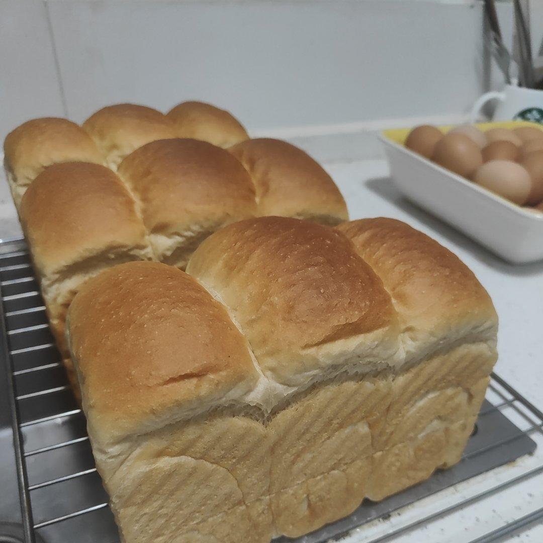 玉米油版一次性发酵吐司
