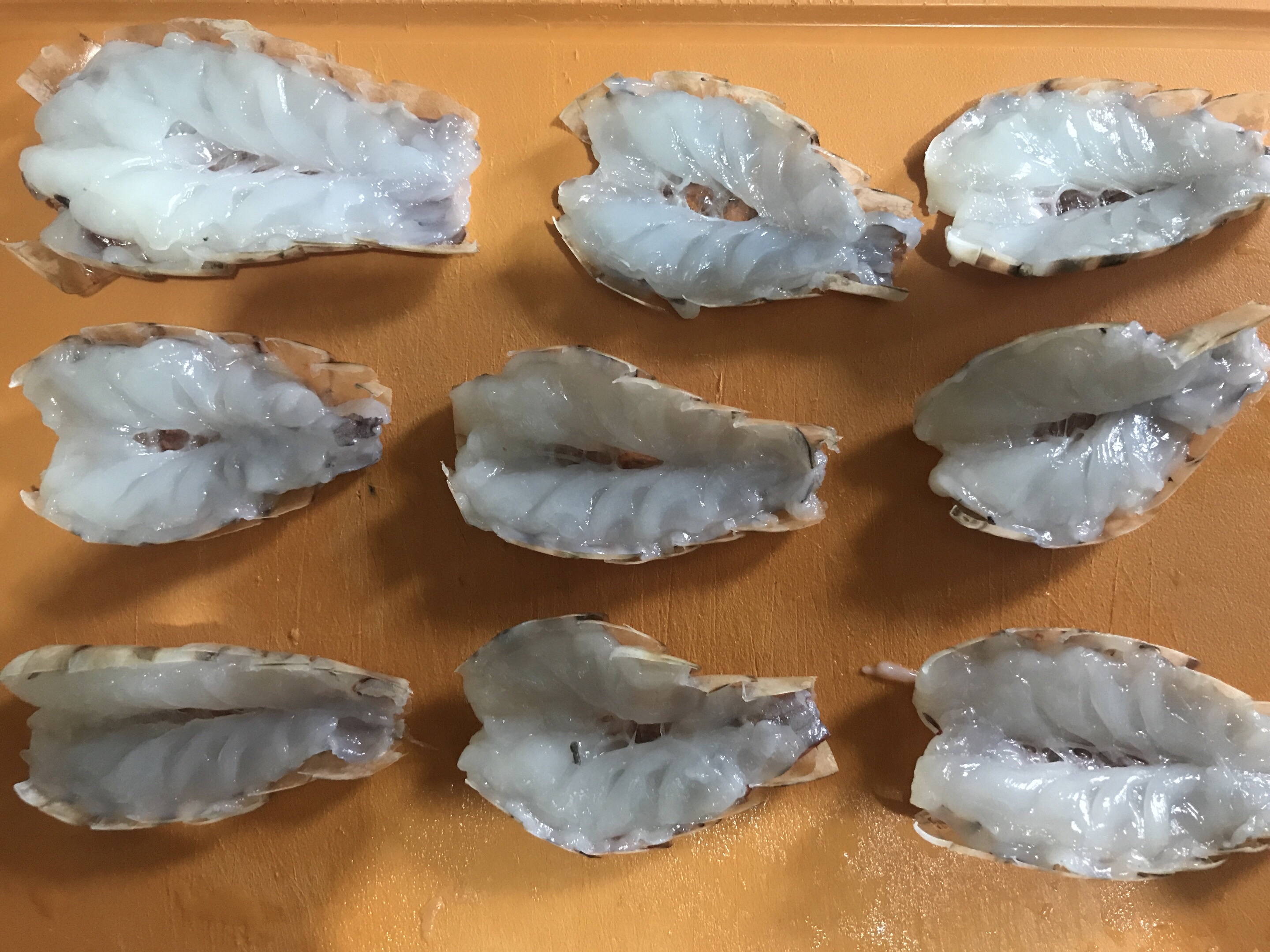 海鲜虾炖煮萝卜丝 简单美味健康的做法 步骤1