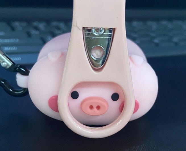 今日猪肉已售空