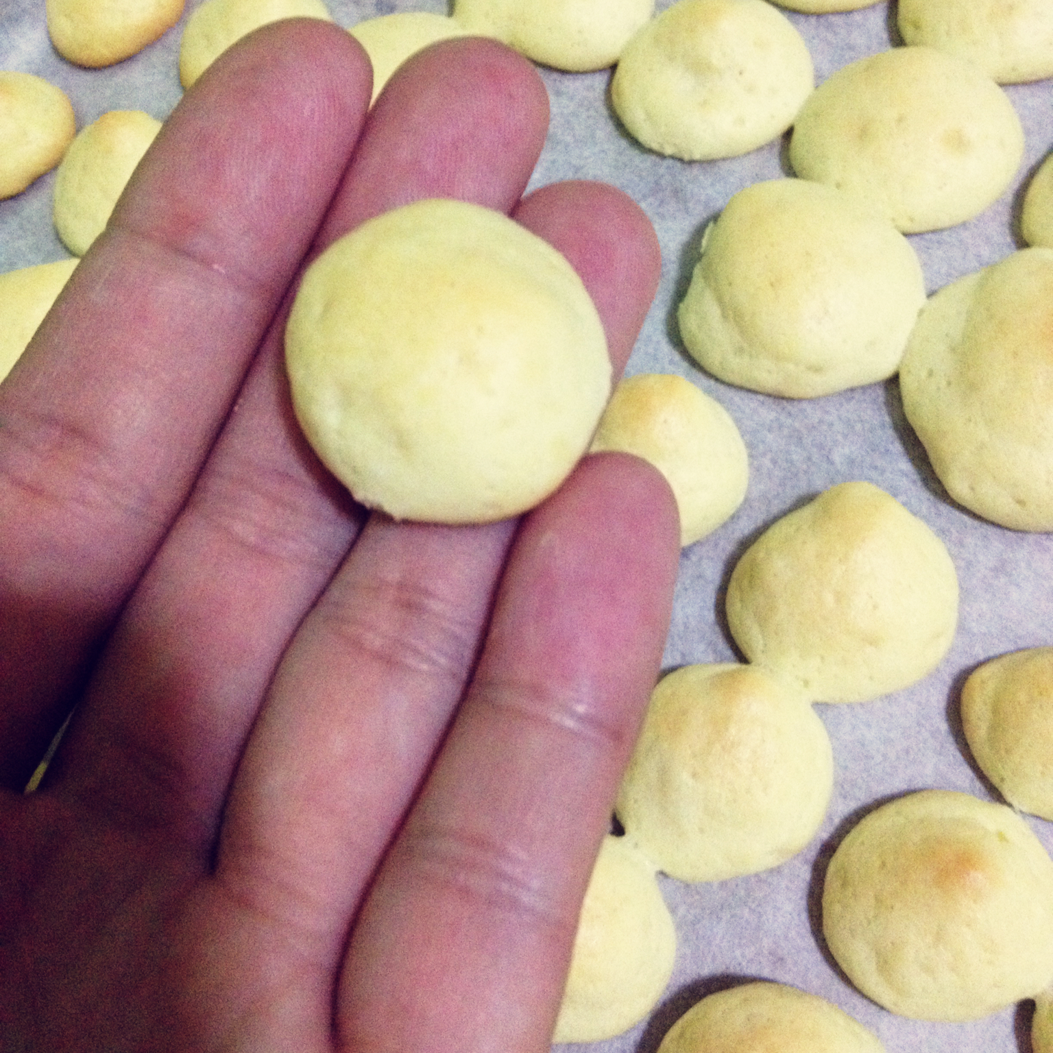 酥脆蛋香小饼干