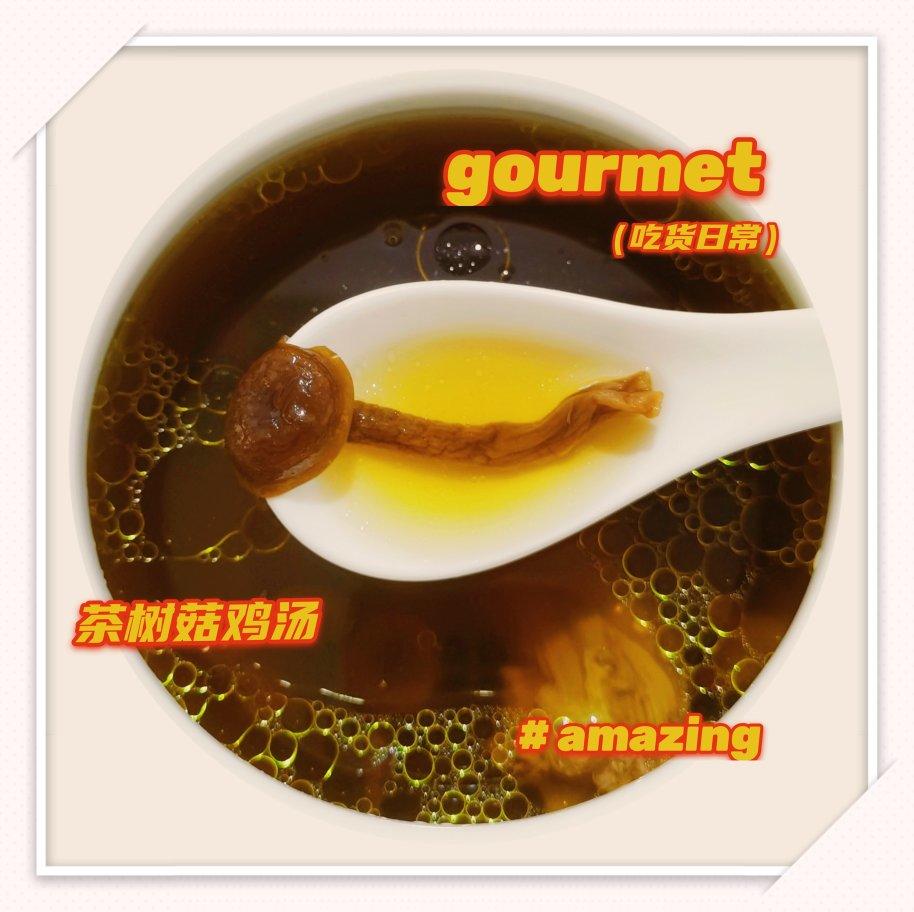 茶树菇煲鸡汤