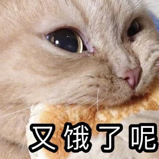 心儿宝贝_