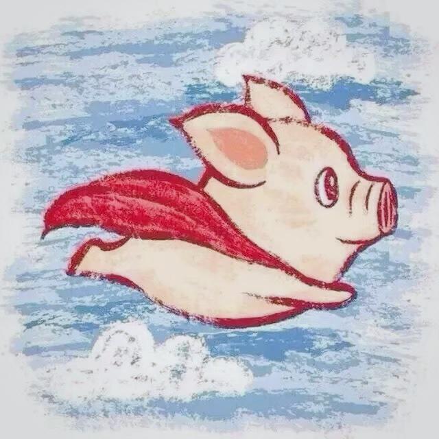 小小鸡儿