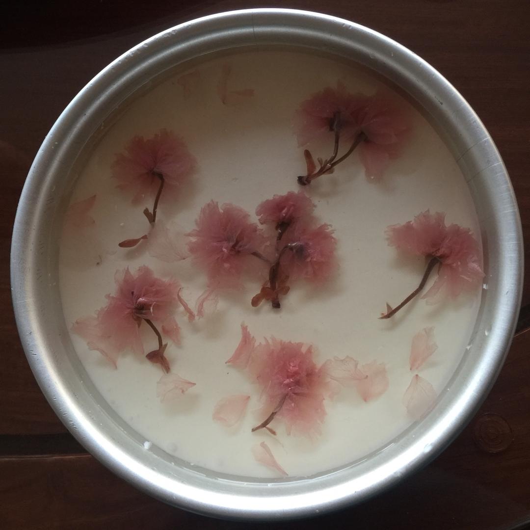 樱花酸奶慕斯蛋糕（免烤）