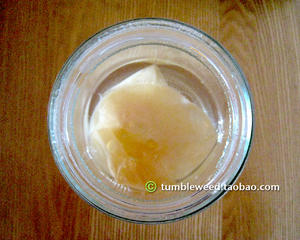 Kombucha 红茶菌/康普茶酿柿子醋的做法 步骤5