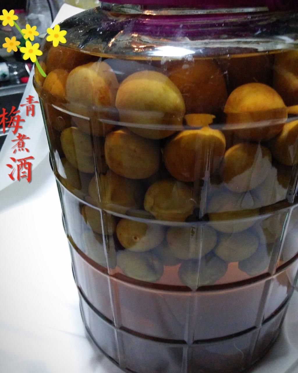 【青梅酒】梅子的沉醉时光（已填坑）