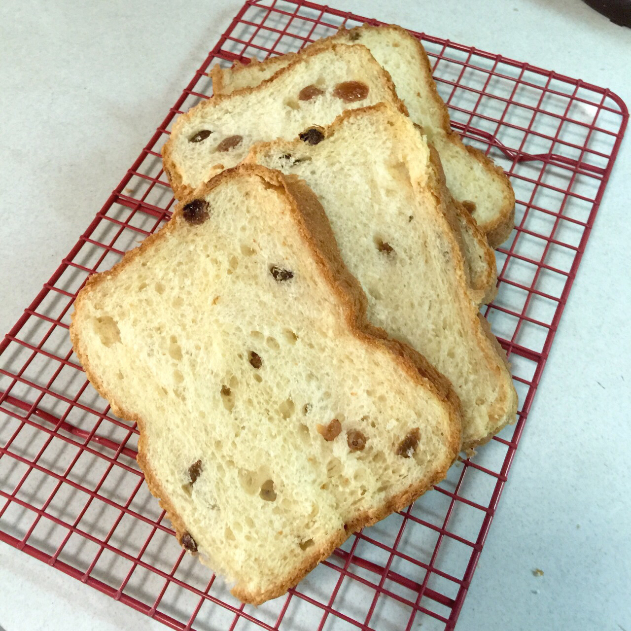 Surprise toast惊喜吐司～松下面包机PM105