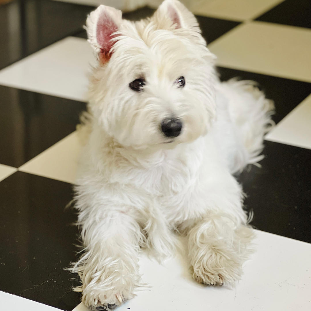 杨大发今天大发了吗