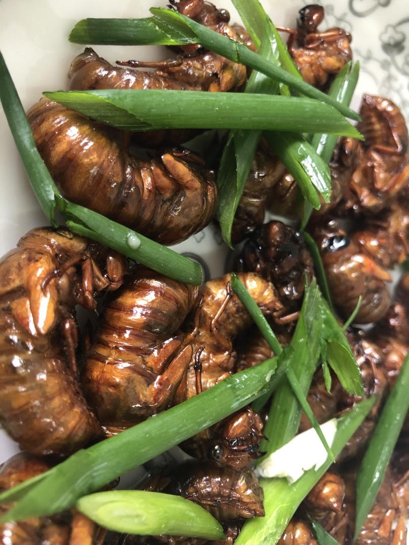 爱做菜的浅云做的爆炒知了猴