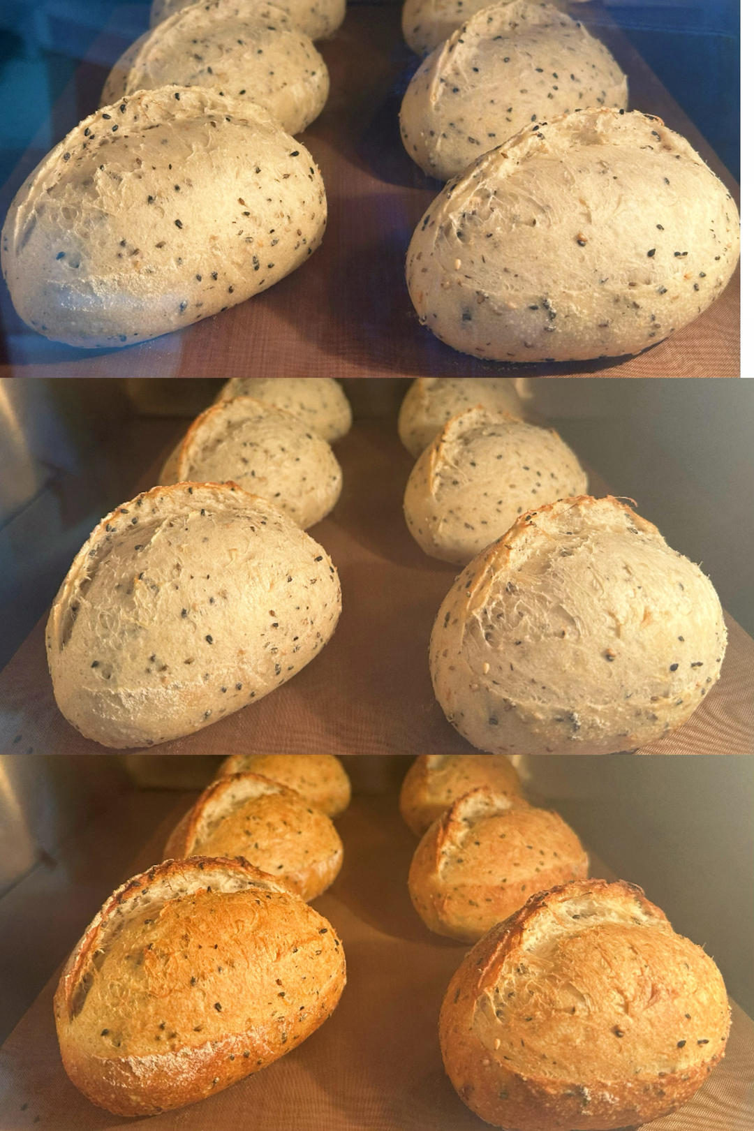 黑芝麻短法棍｜家庭版直接法