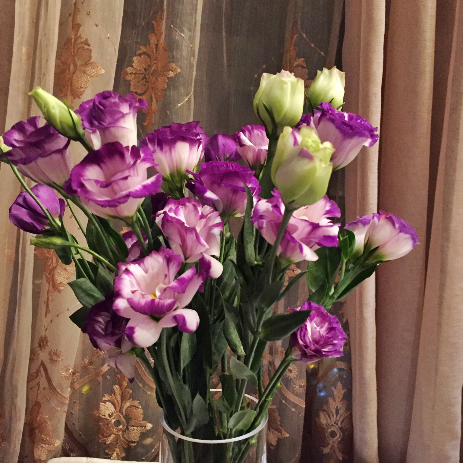 blue star少女杂货铺