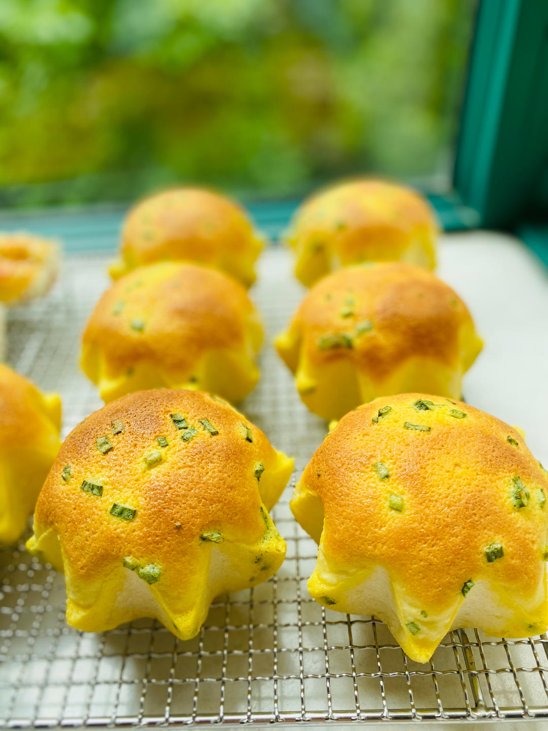 葱香肉松墨西哥面包（波兰种+烫种）